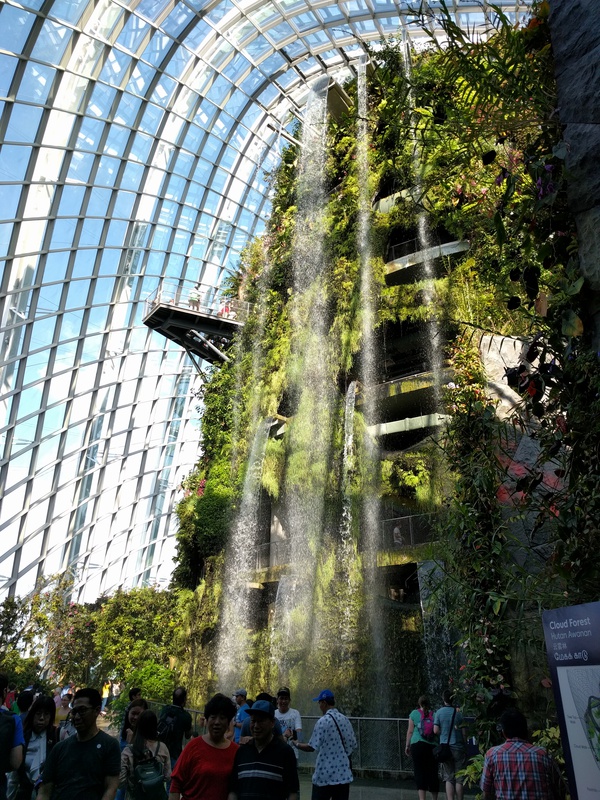 They feature an indoor multi-story waterfall